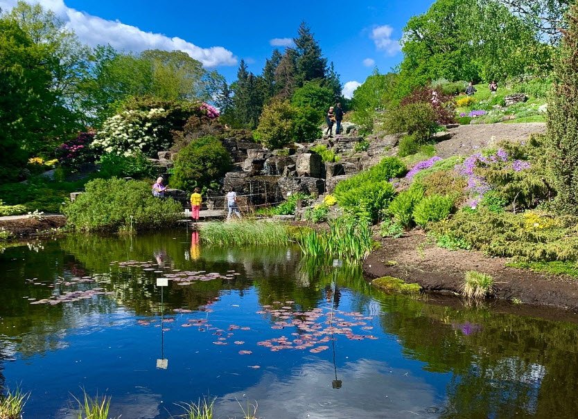Botanical Garden, Norway